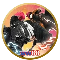 ww88